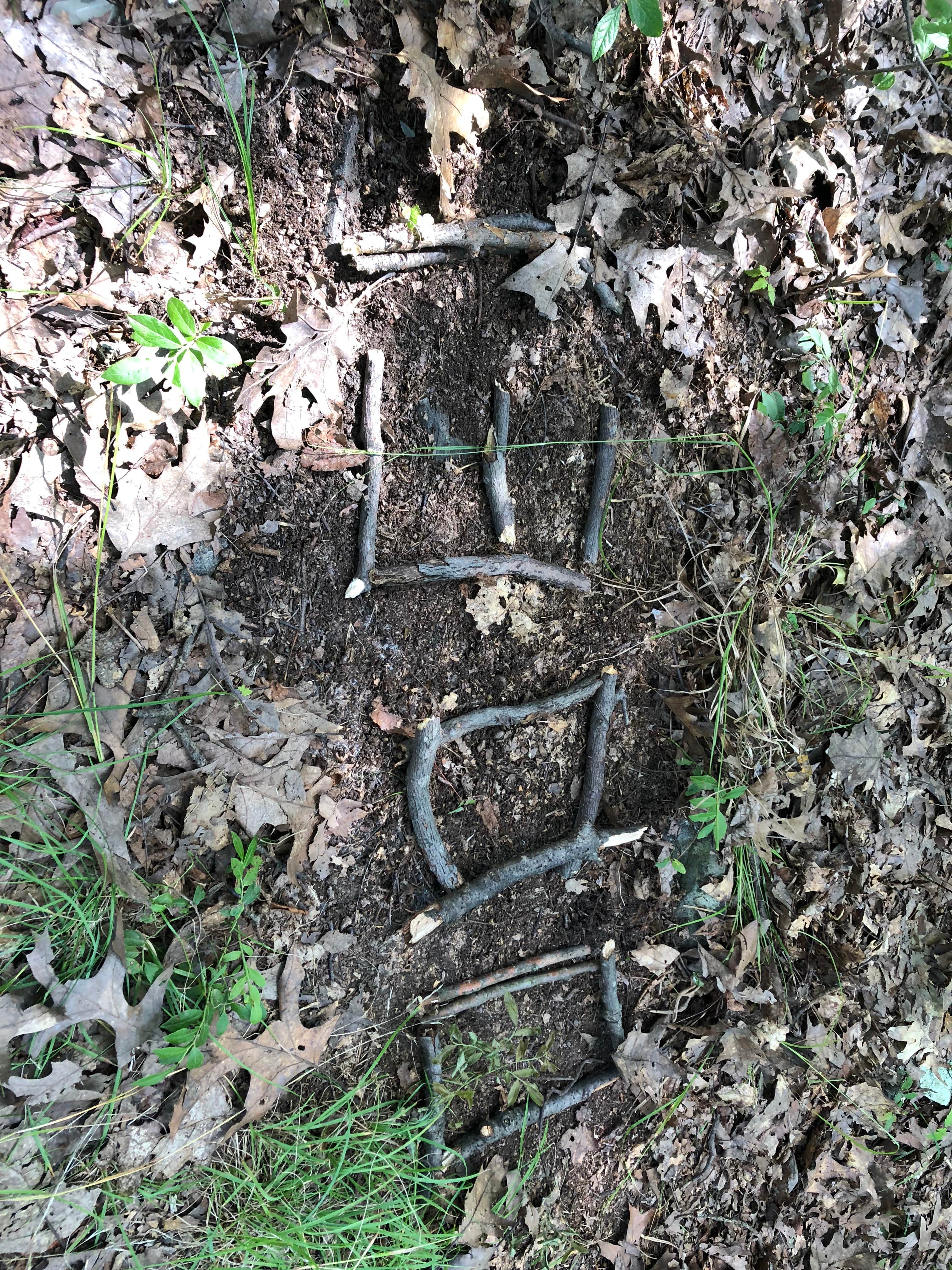 Camper-submitted photo at Mountain Vista Campground near Tobyhanna, PA