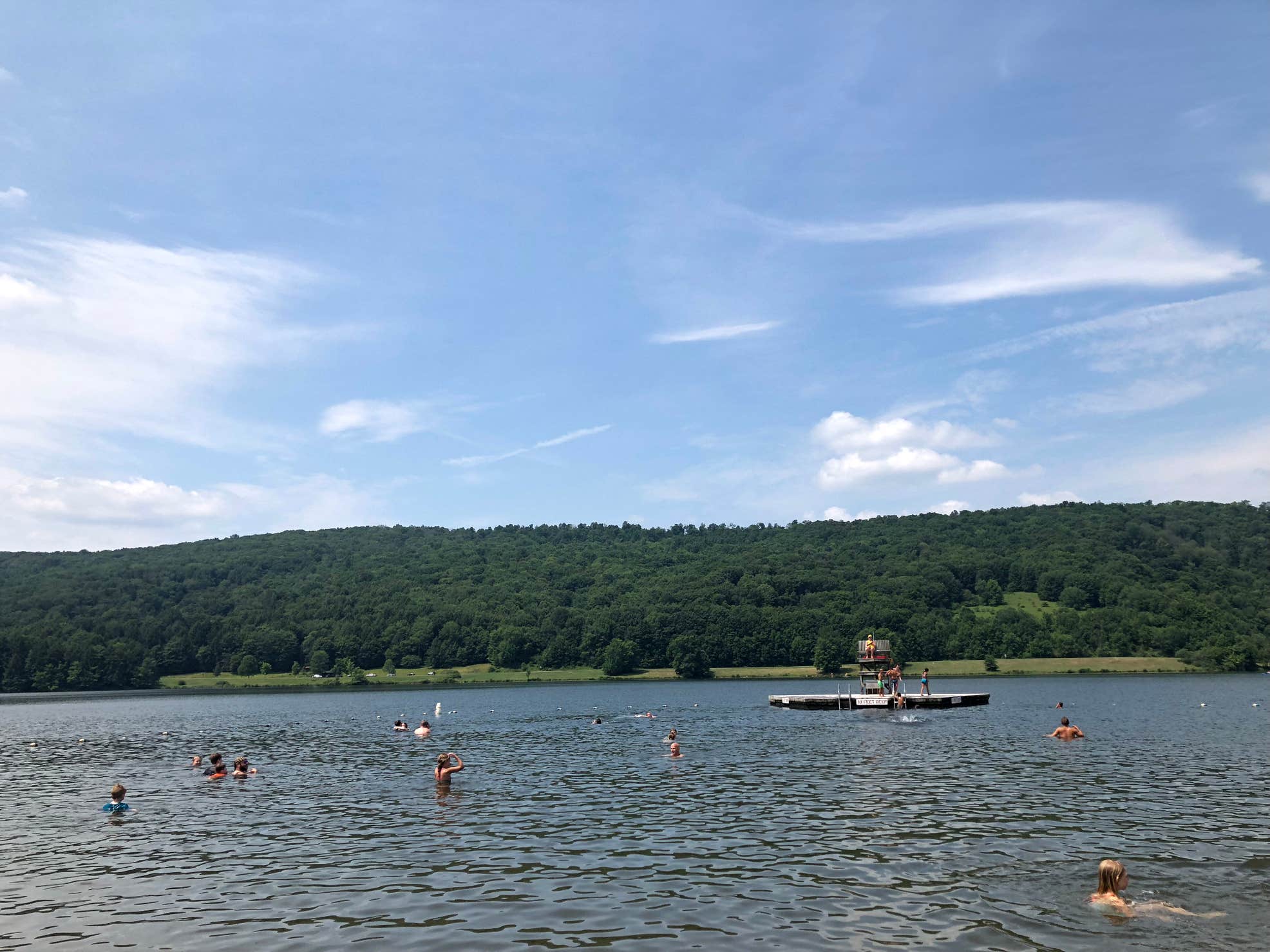 Allegany/Quaker Area The Dyrt