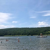 Review photo of Quaker Area — Allegany State Park State Park by Verity S., August 2, 2018