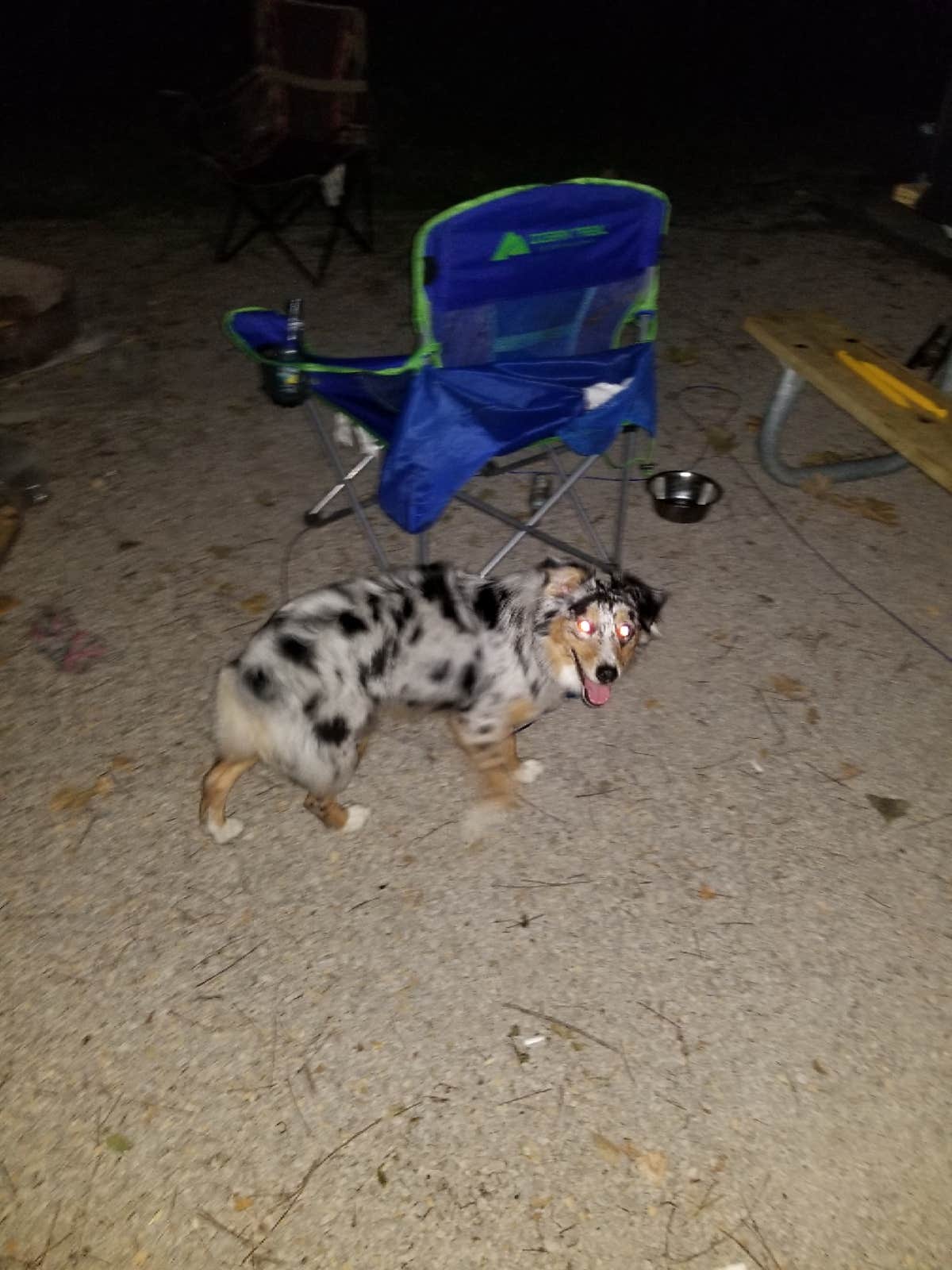 Camper-submitted photo at Weston Bend State Park Campground near Plattsburg, MO