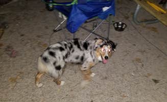 Mindy W.'s photo of camping with pets at Weston Bend State Park Campground near Tonganoxie, KS