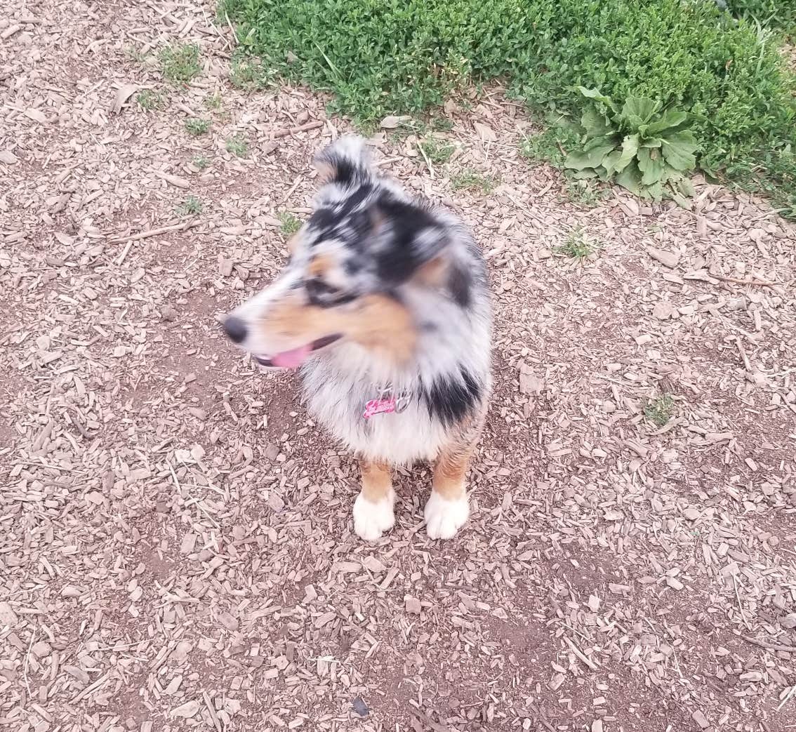 Camper-submitted photo at Weston Bend State Park Campground near Plattsburg, MO