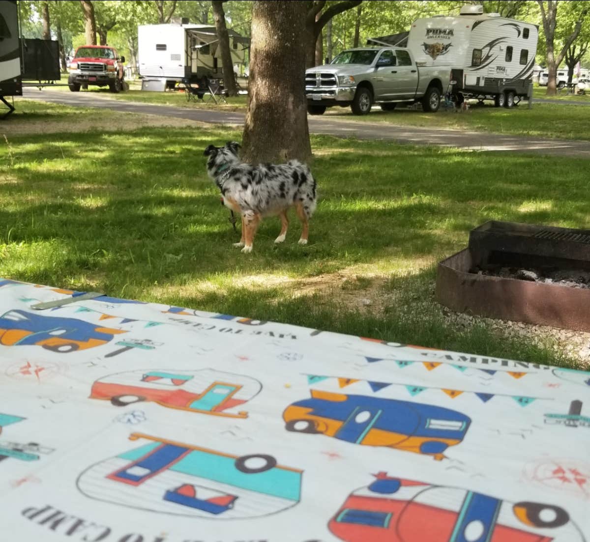 Camper-submitted photo at Lewis & Clark State Park Campground near Mossyrock, WA