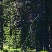 Review photo of Anthony Lake Campground by Jill T., August 2, 2018