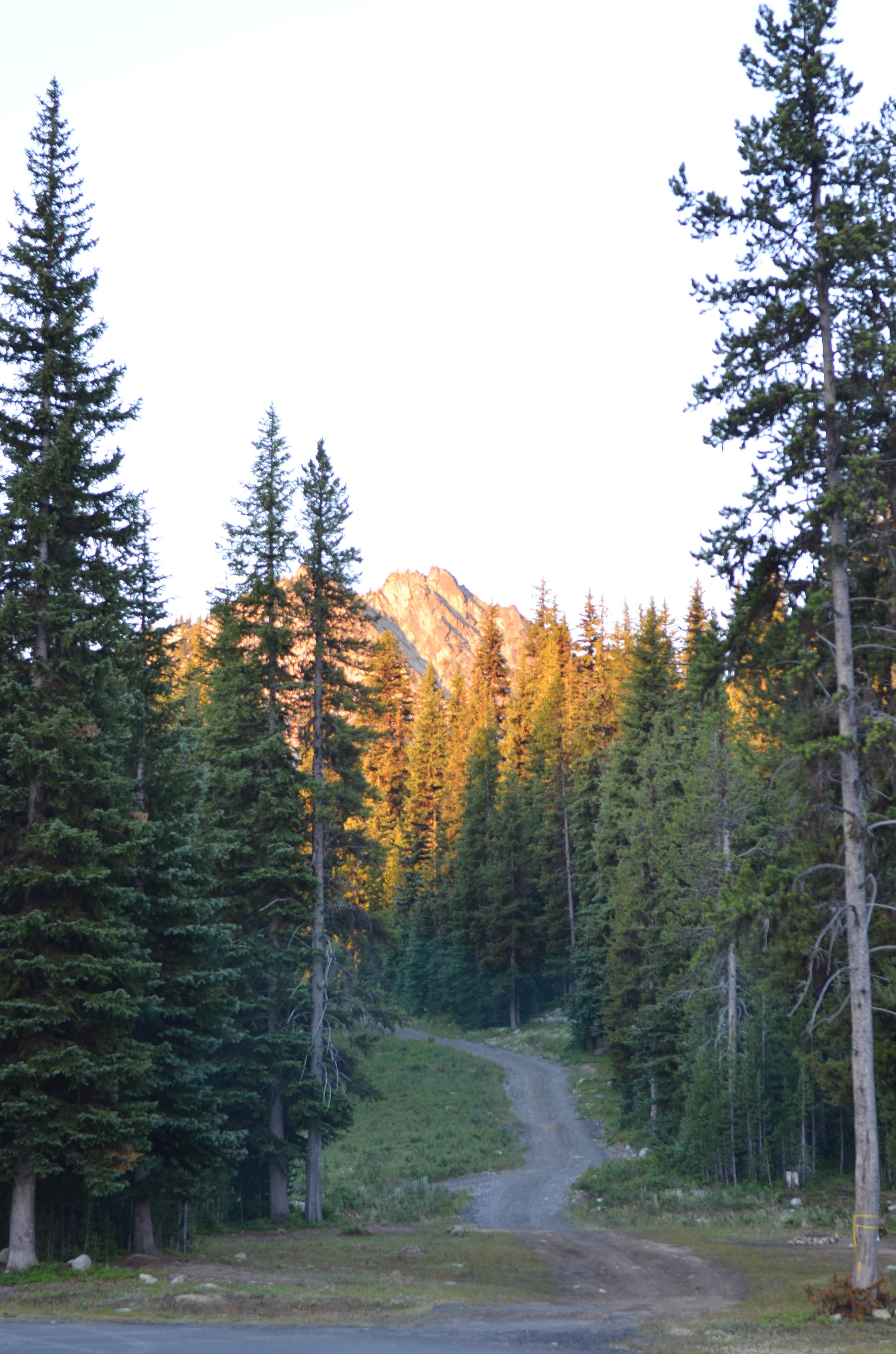 Camper submitted image from Anthony Lake Campground - 2
