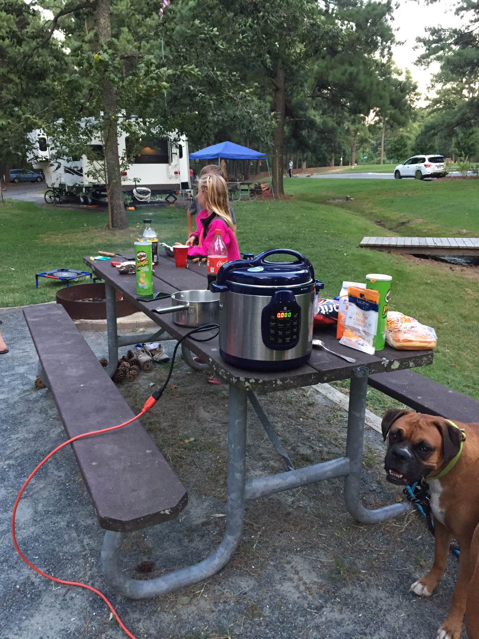 Samantha O.'s photo of camping with pets at Janes Island State Park Campground near Nassawadox, VA