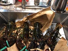 Camper-submitted photo at Bayley's Camping Resort near Cape Porpoise, ME