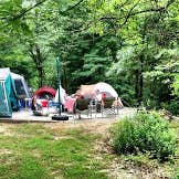 Review photo of Coon Creek (IL) by Meg  S., June 16, 2015