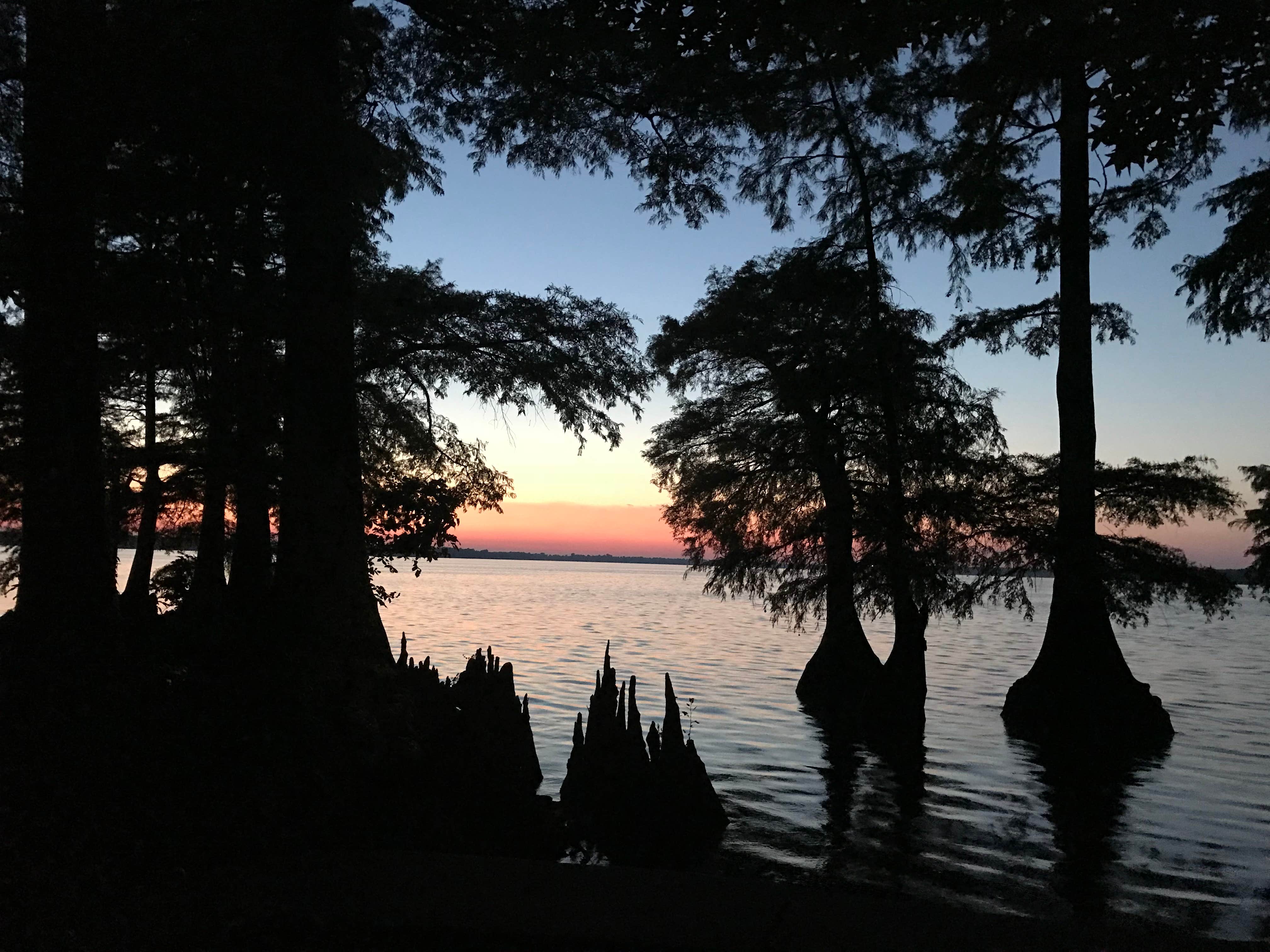 Camper-submitted photo at Airpark North Campground — Reelfoot Lake State Park near Troy, TN