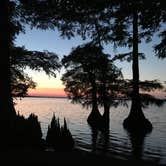 Review photo of Airpark North Campground — Reelfoot Lake State Park by Barbara W., August 2, 2018