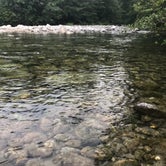 Review photo of Goodell Creek Campground — Ross Lake National Recreation Area by Joel  T., August 2, 2018