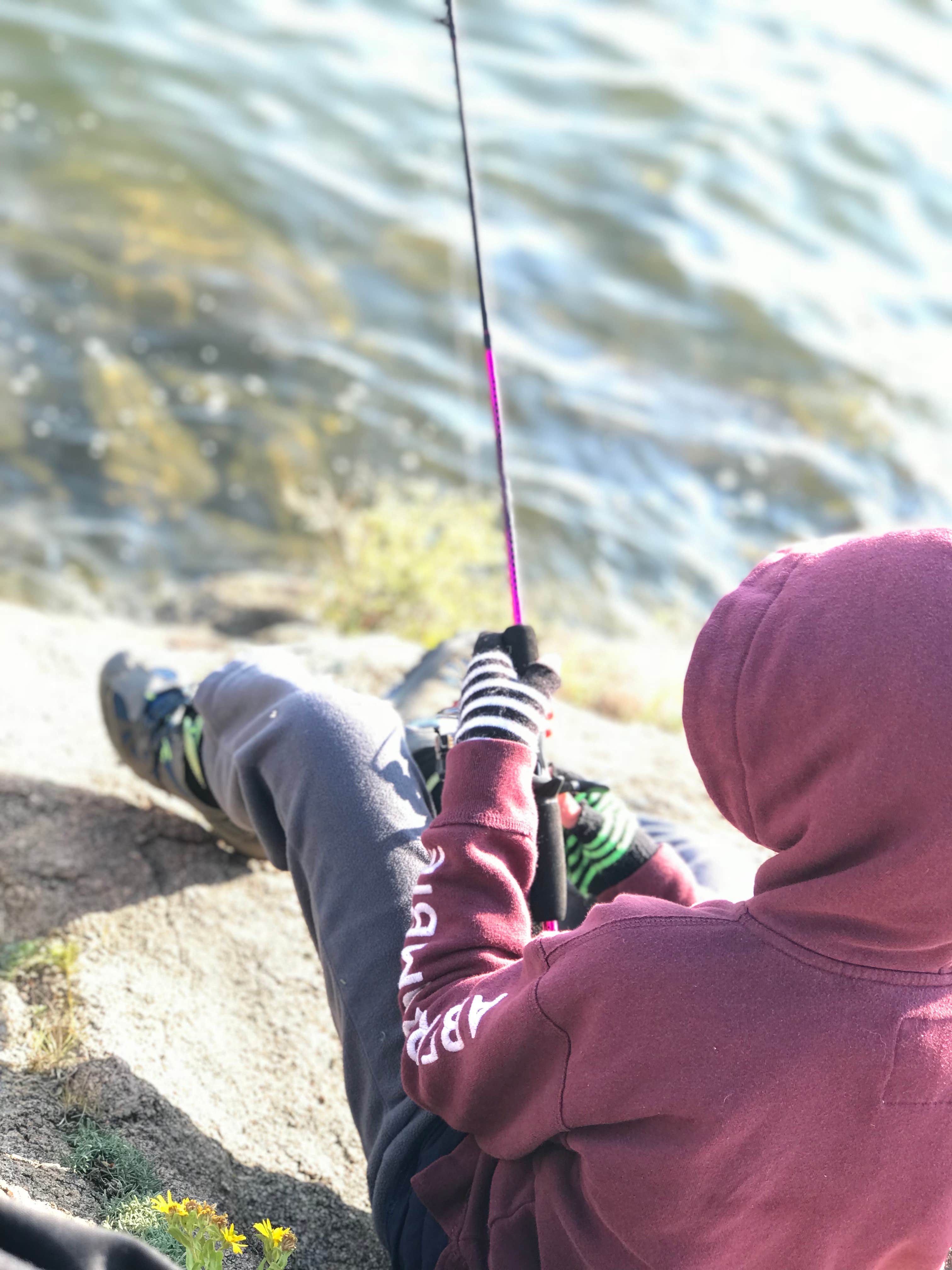 Camper-submitted photo at Stoll Mountain Campground — Eleven Mile State Park near Hartsel, CO