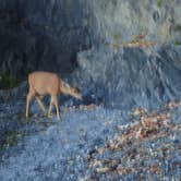 Review photo of Obstruction Pass State Park Campground by Joel  T., August 2, 2018