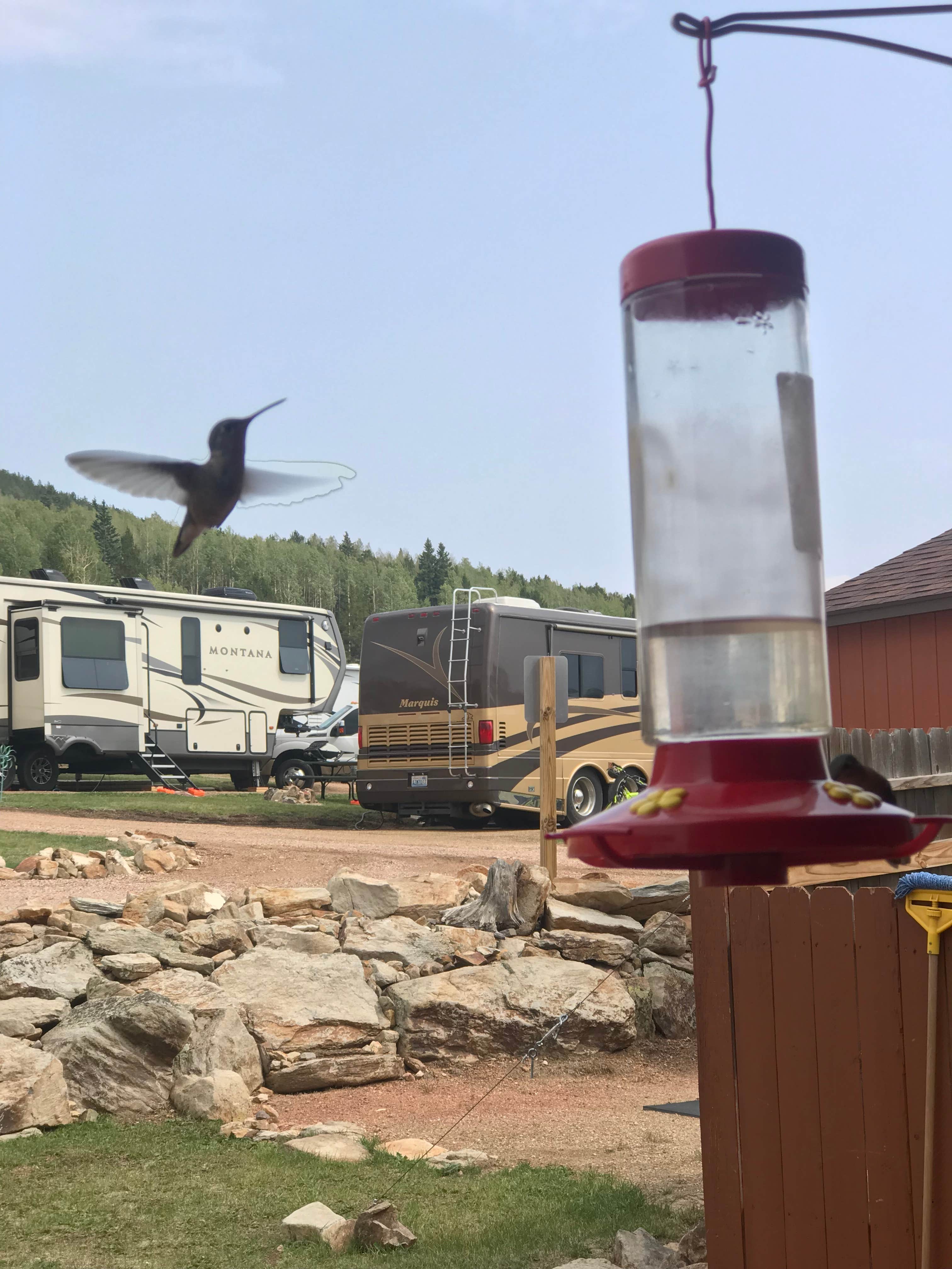 Camper-submitted photo at Cripple Creek KOA near Lake George, CO