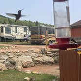 Review photo of Cripple Creek KOA by Tasha M., August 2, 2018