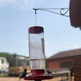 Review photo of Cripple Creek KOA by Tasha M., August 2, 2018