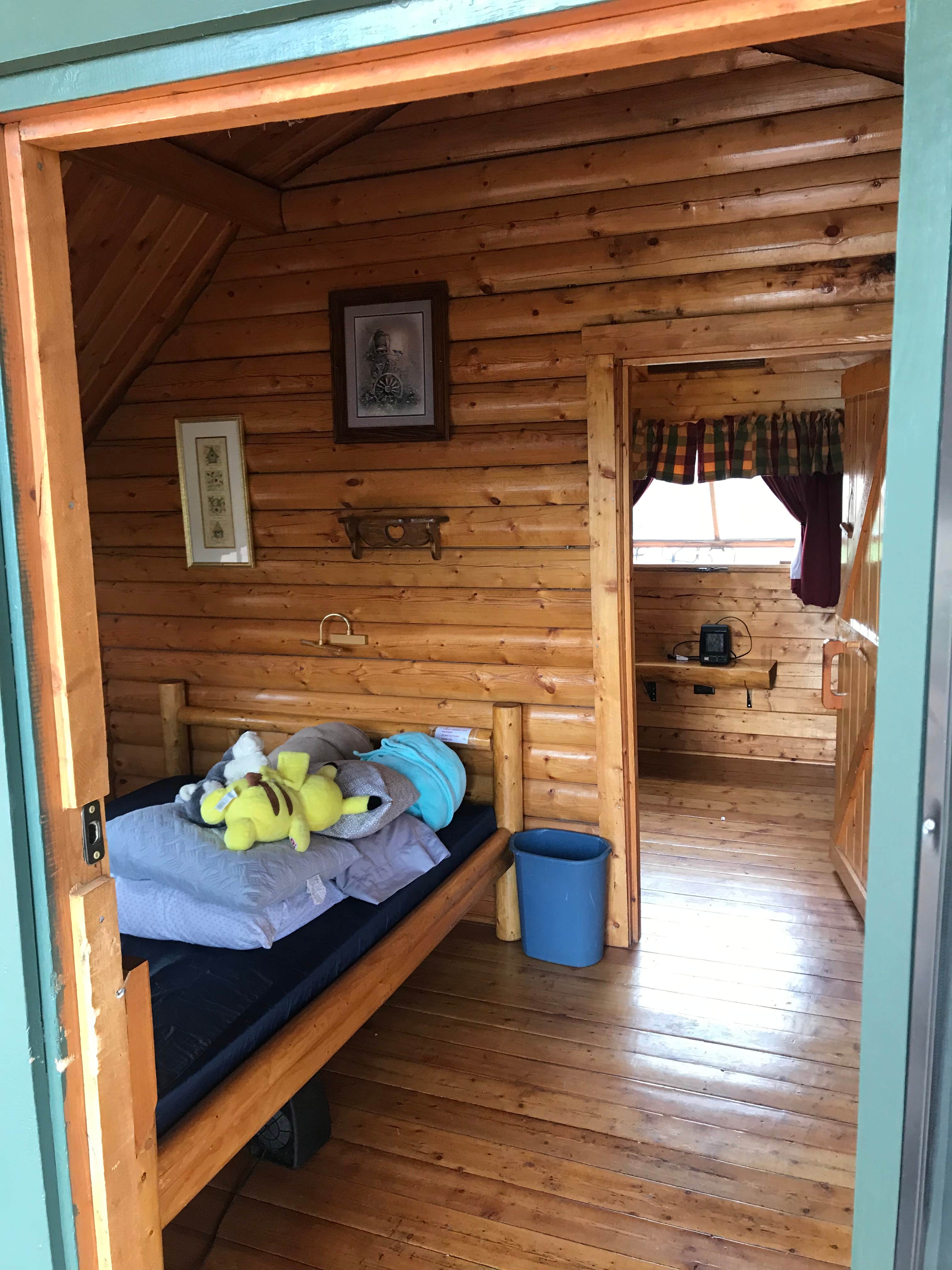 Camper-submitted photo at Cripple Creek KOA near Lake George, CO