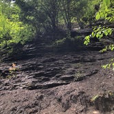 Review photo of Stony Brook State Park Campground by Verity S., August 2, 2018