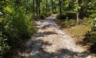 Camping near Lower Forge Camp: Lower Forge — Wharton State Forest, Hammonton, New Jersey