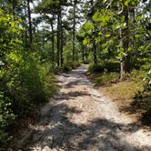 Review photo of Wharton State Forest by Maggie  H., August 2, 2018