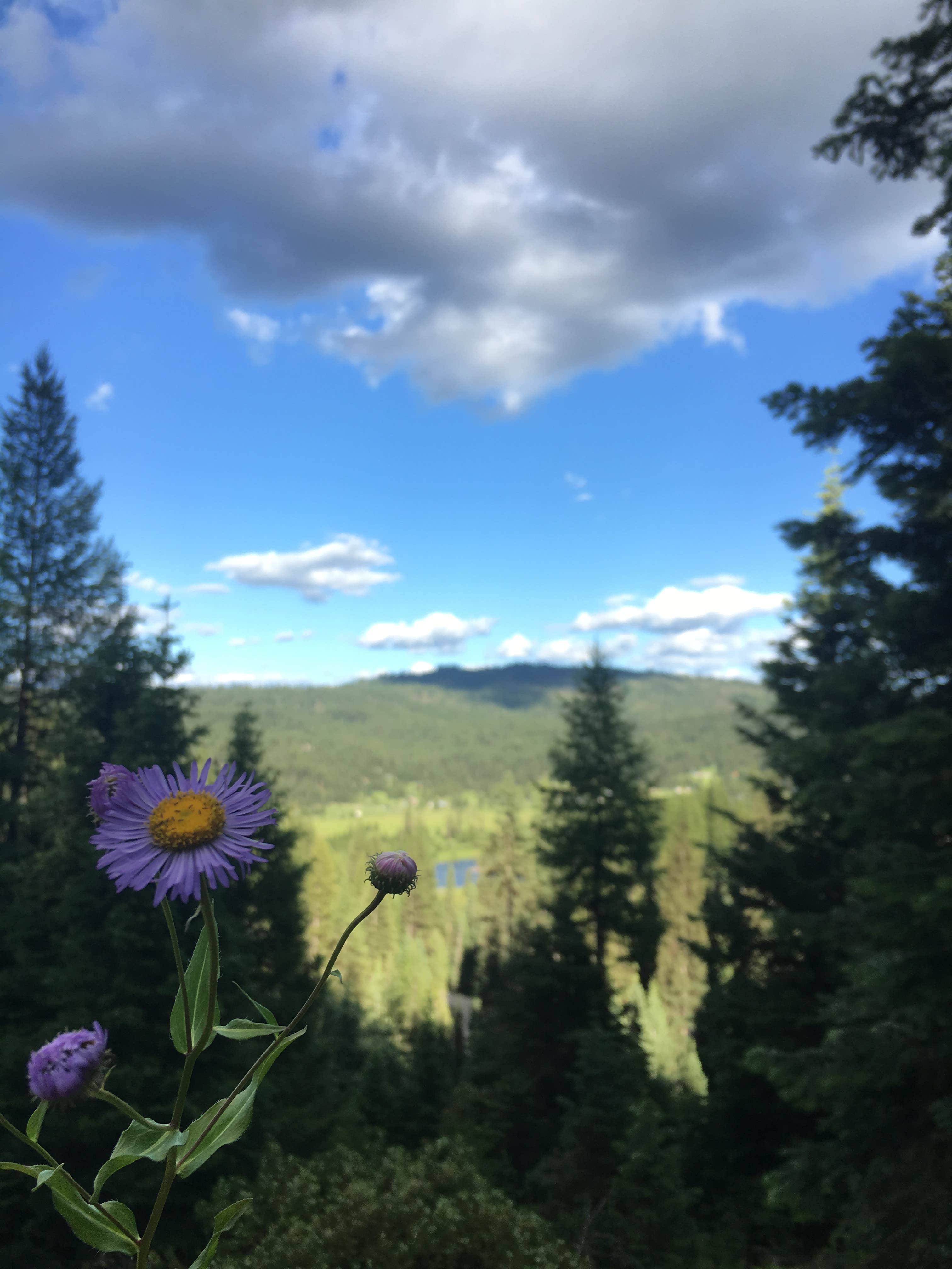 Camper-submitted photo at Sage Hen Flats Campground near Blackfoot, ID