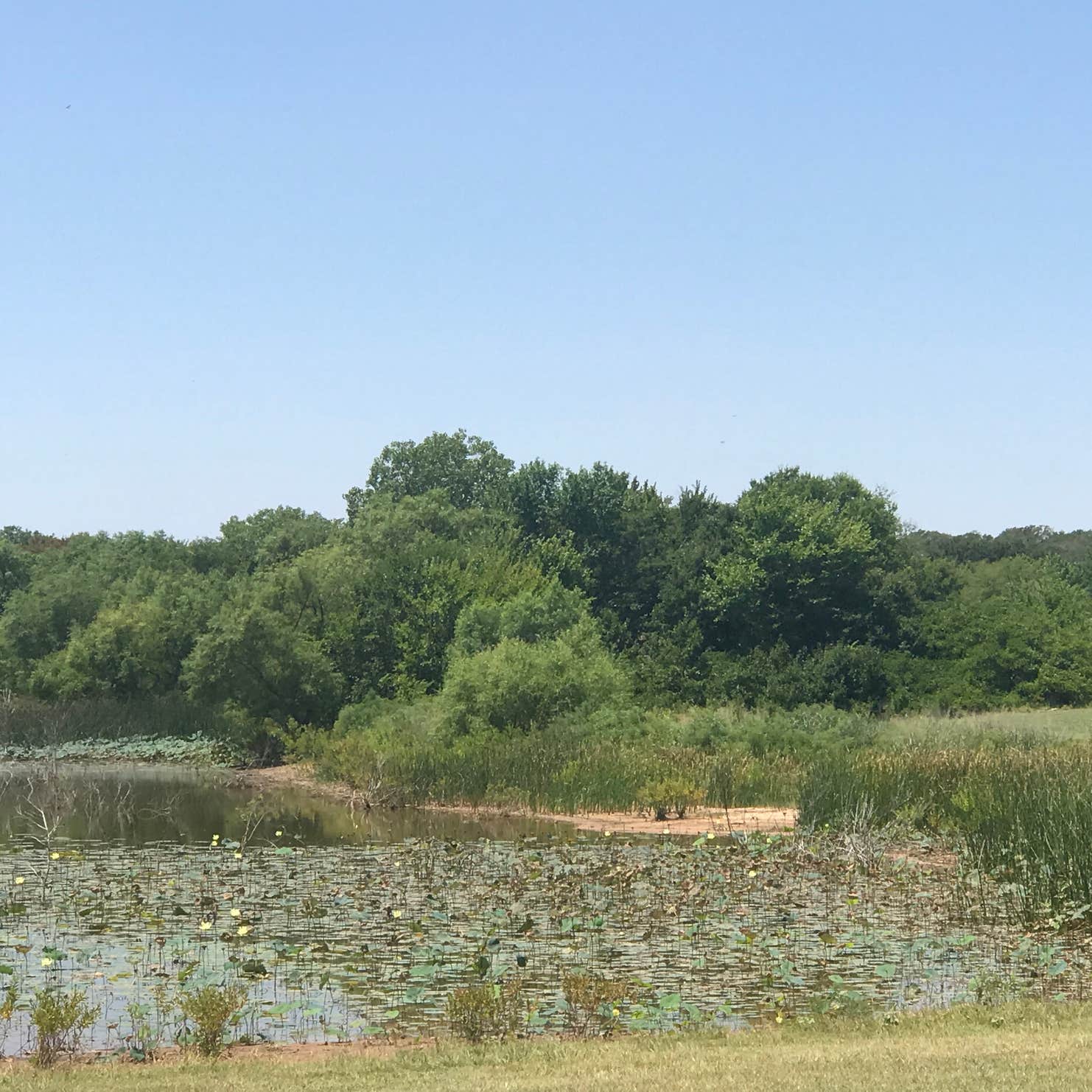Weldon Robb Park Camping Nocona, TX