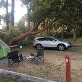 Review photo of San Juan Campground by Amanda M., August 2, 2018