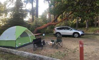 Amanda M.'s photo of tent camping at San Juan Campground near Sultan, WA