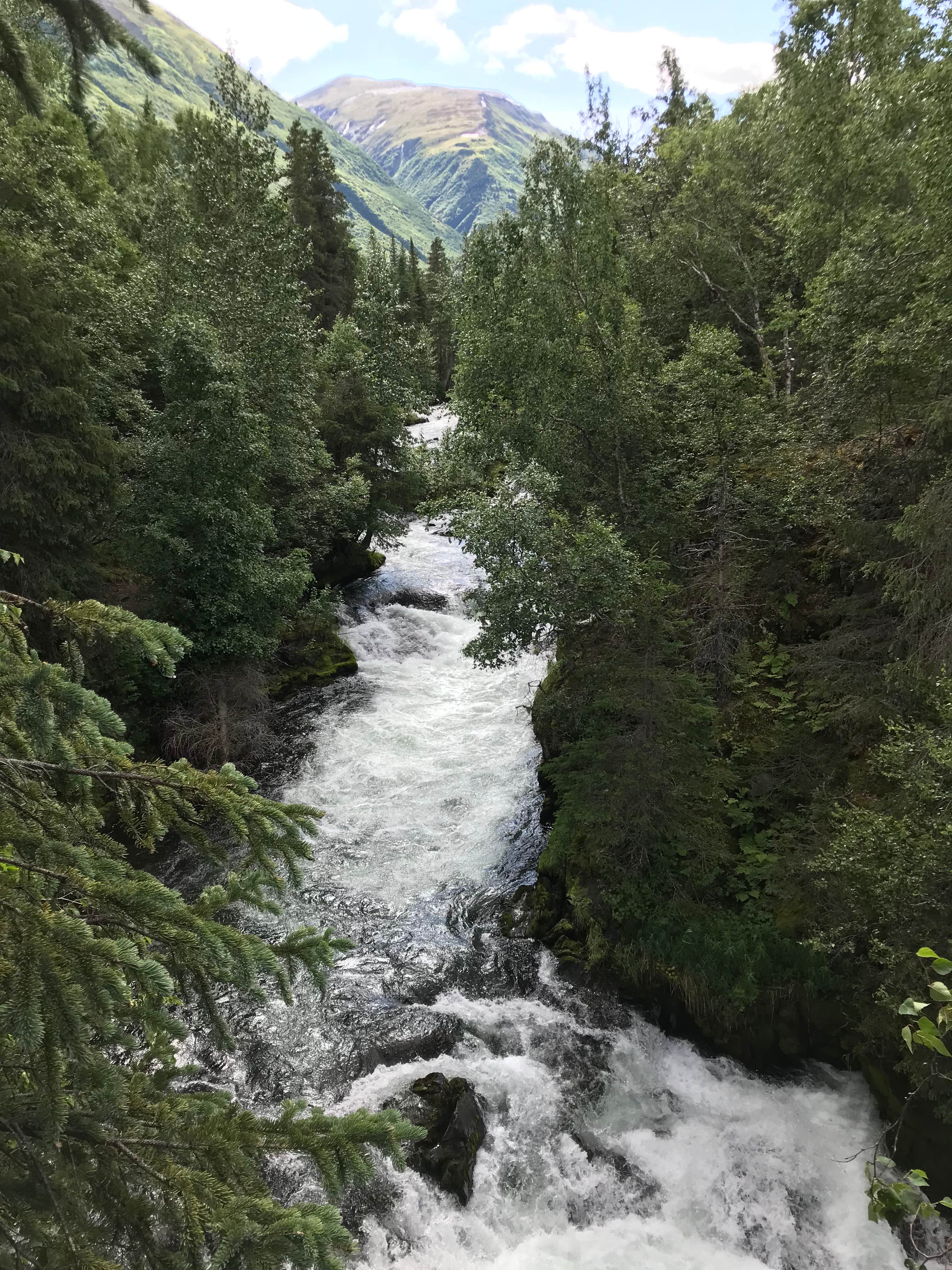 Camper submitted image from Kenai Princess Wilderness Lodge & RV Park - 4
