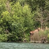 Review photo of Kenai Princess Wilderness Lodge & RV Park by Kathy M., August 2, 2018