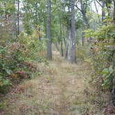 Review photo of Brazil Creek by Steven H., July 29, 2016