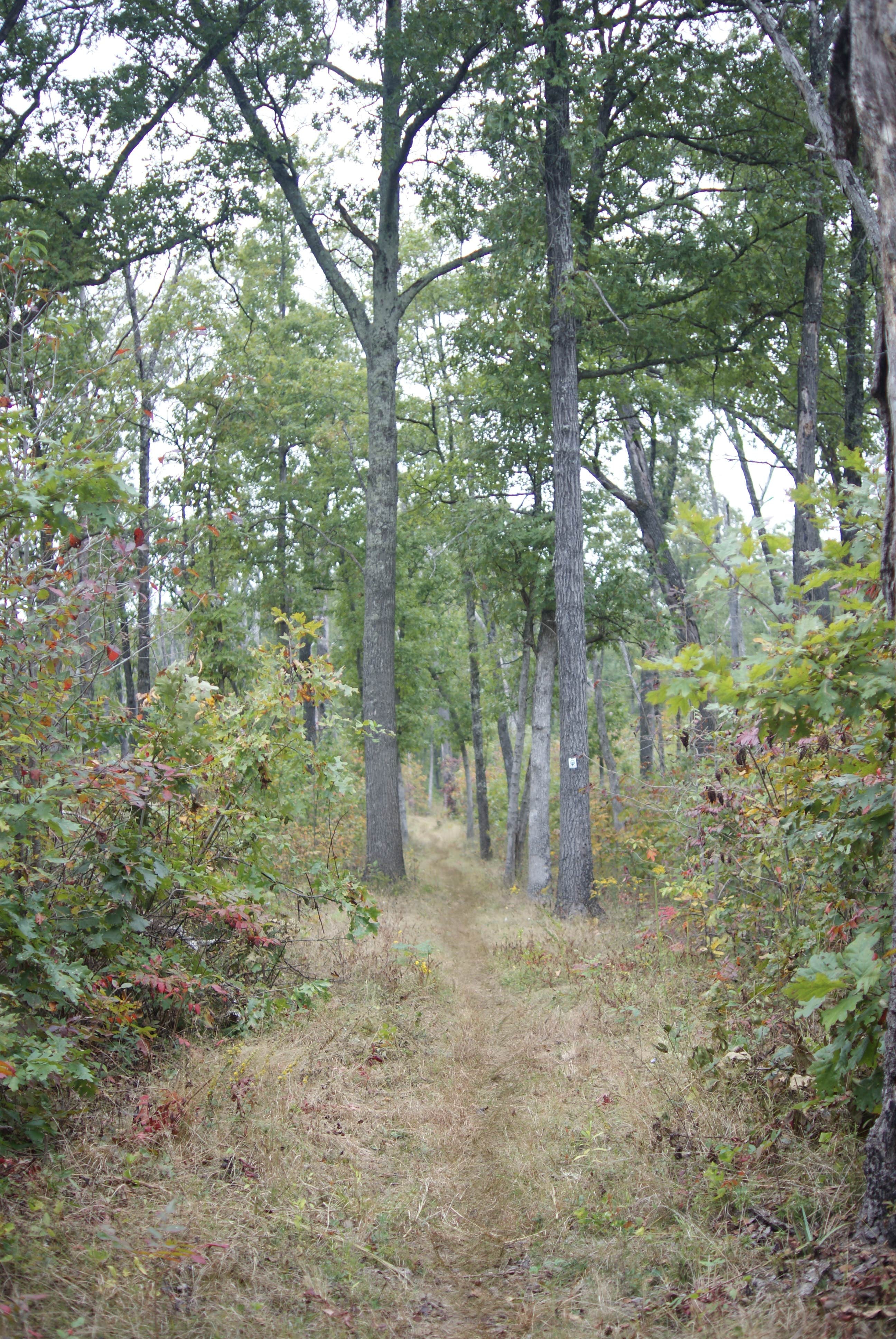 Camper submitted image from Brazil Creek - 3