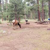 Review photo of Aspen Campground by Krista Z., August 2, 2018