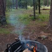 Review photo of Aspen Campground by Krista Z., August 2, 2018