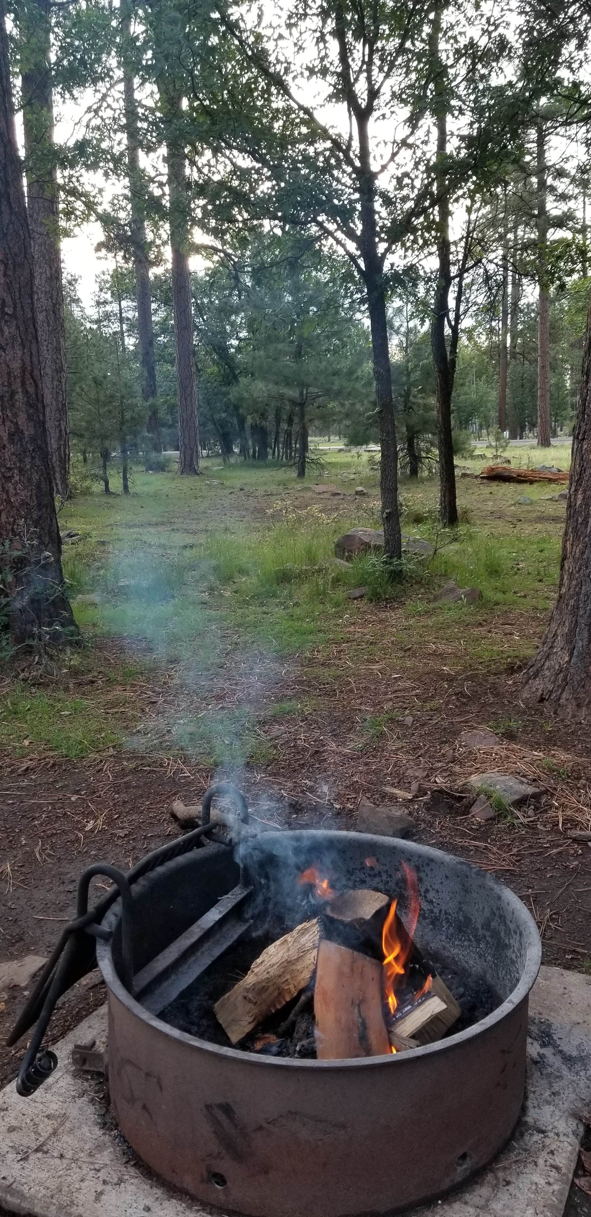 Camper submitted image from Aspen Campground - 3