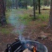 Review photo of Aspen Campground at Woods Canyon by Krista Z., August 2, 2018