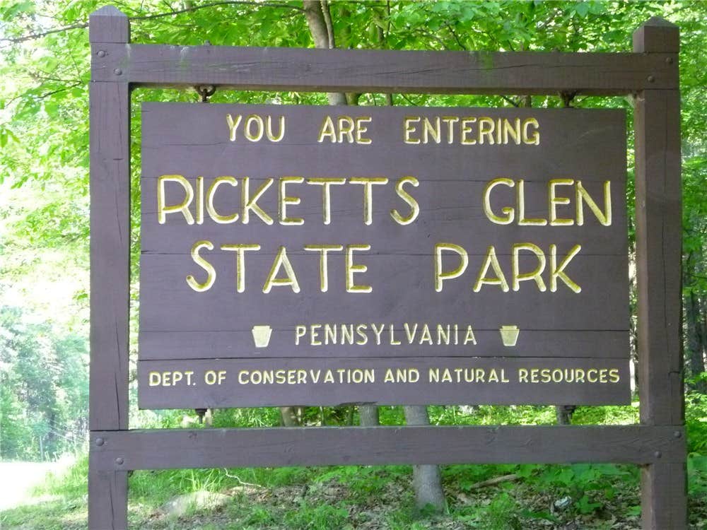 Camper submitted image from Ricketts Glen State Park Campground - 5
