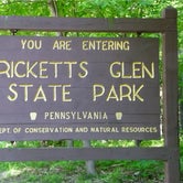 Review photo of Ricketts Glen State Park Campground by Meag F., July 29, 2016