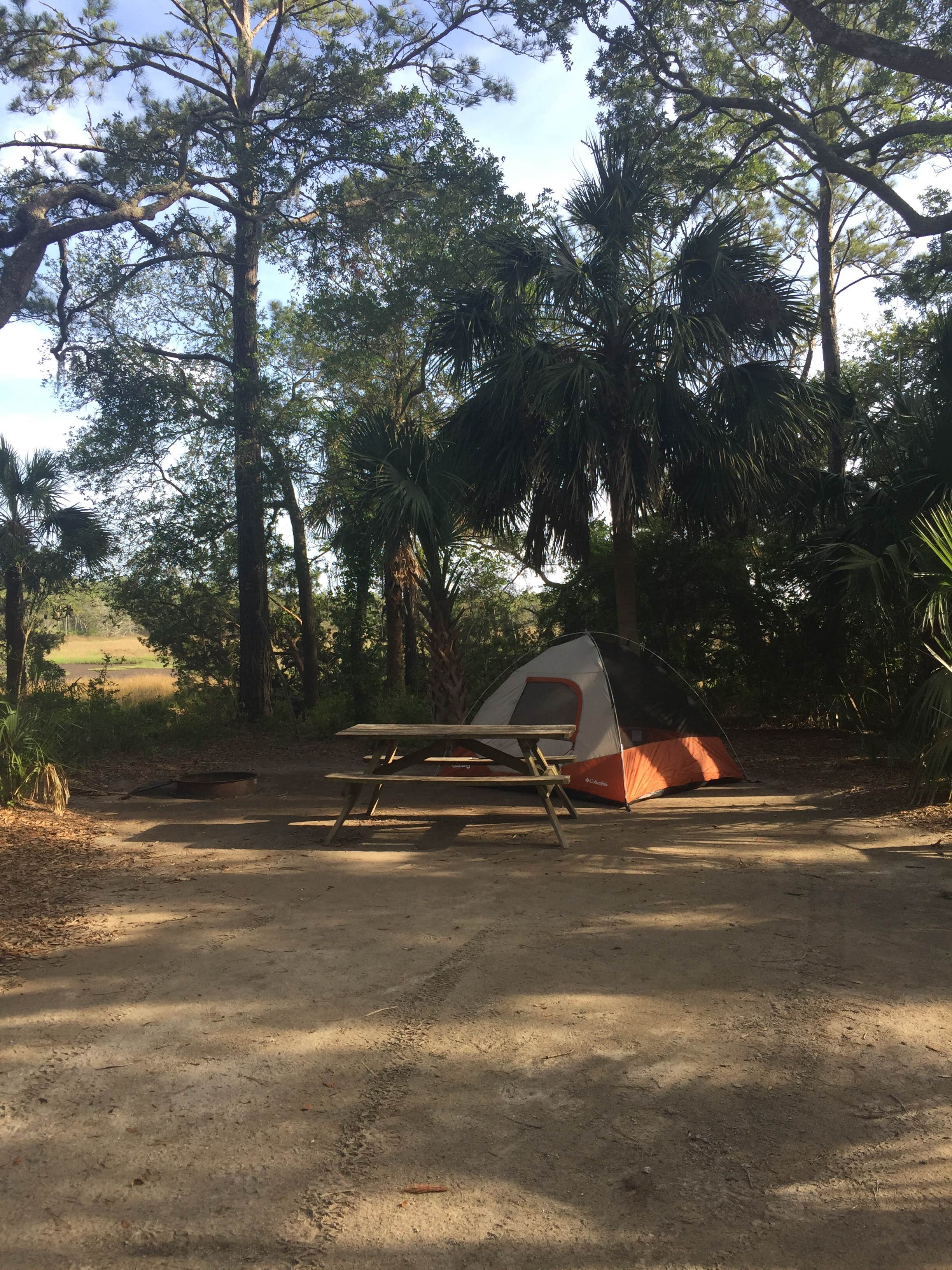 Regina S.'s photo at Edisto Beach State Park Campground near Beaufort, SC