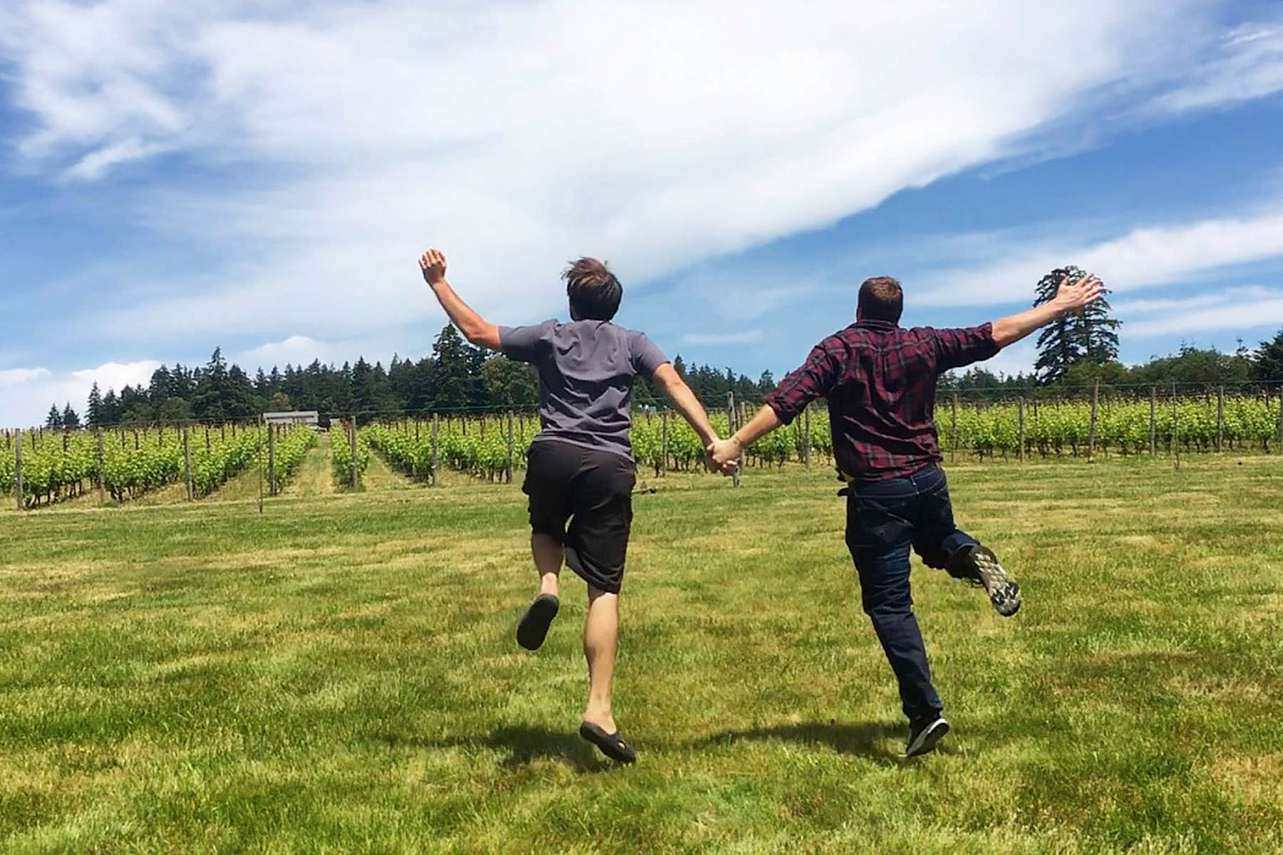 San Juan Vineyards 
