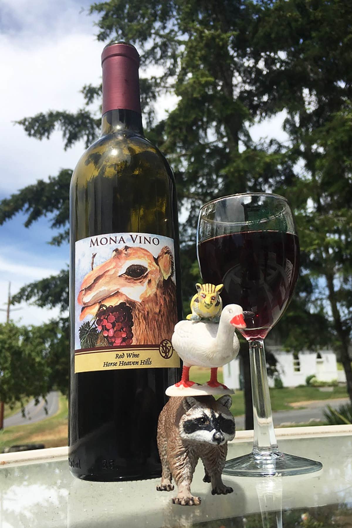 Mona Vino! San Juan Vineyards #raccoontime #theadventuresofraccoonandgoosey 