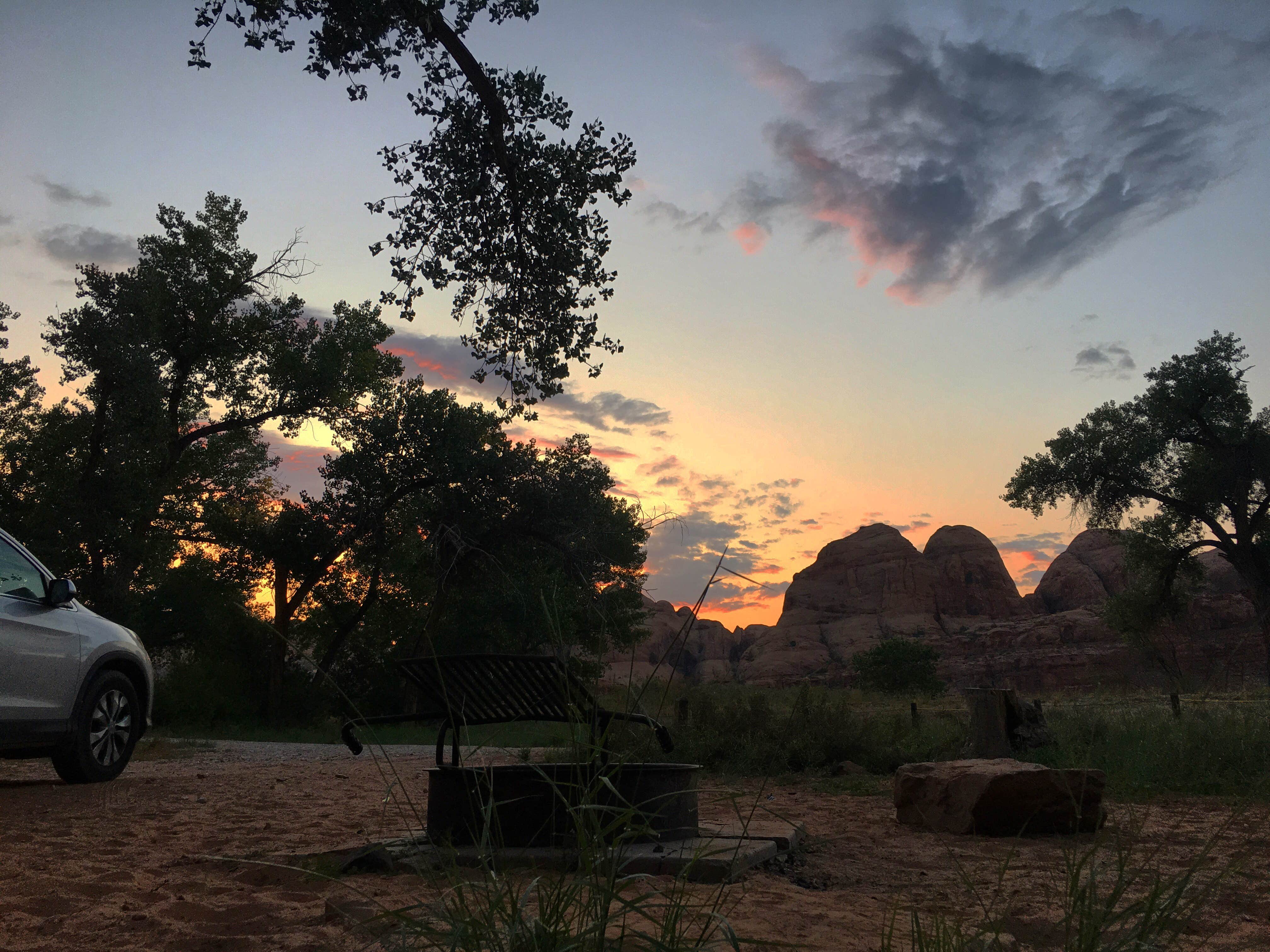 Camper submitted image from Williams Bottom Campground - 4