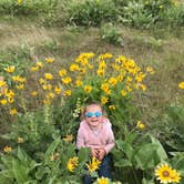 Review photo of Hells Canyon Recreation Area - Woodhead Campground by Katie M., August 2, 2018