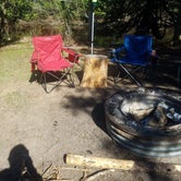 Review photo of Cedar River North State Forest Campground by Lauren B., August 2, 2018