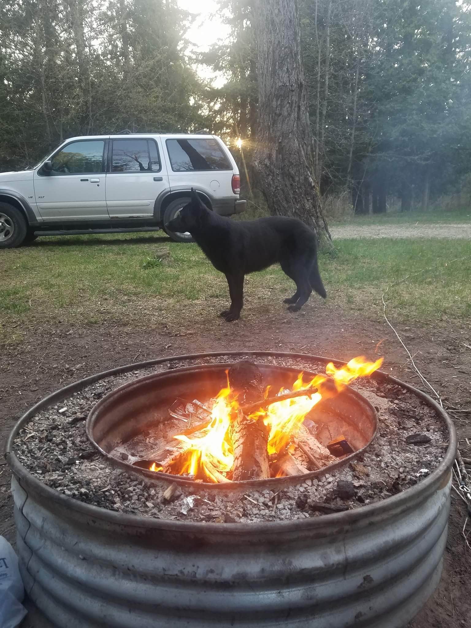 Camper-submitted photo at Cedar River North State Forest Campground near Baileys Harbor, WI