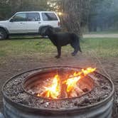 Review photo of Cedar River North State Forest Campground by Lauren B., August 2, 2018