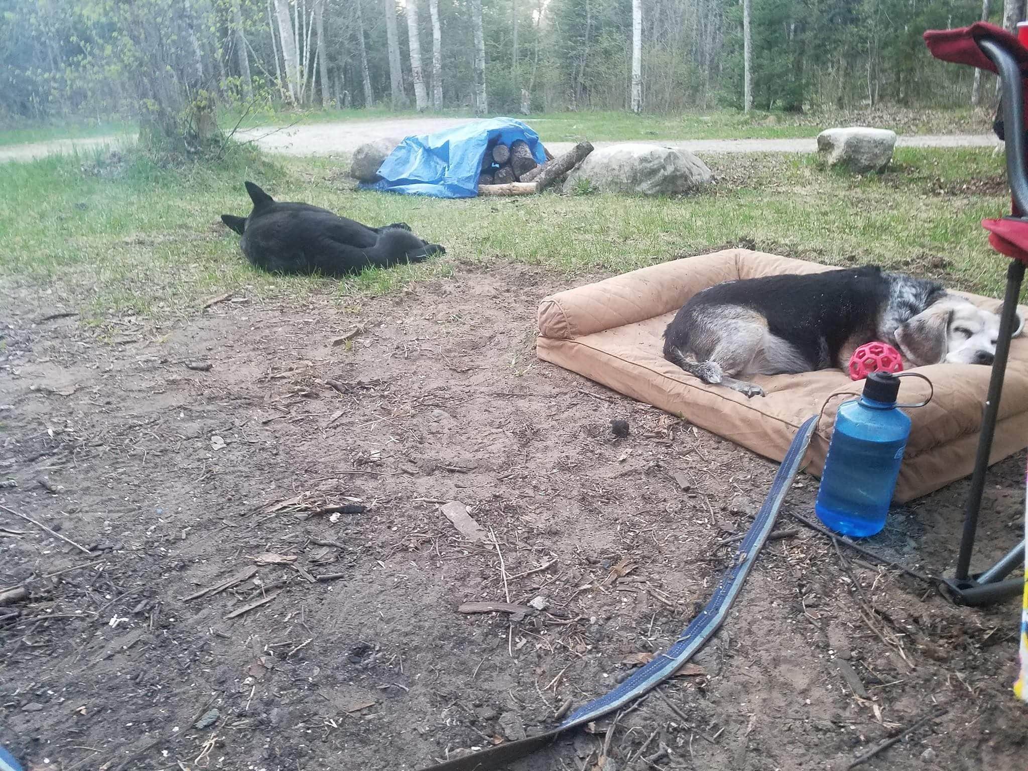 Camper-submitted photo at Cedar River North State Forest Campground near Baileys Harbor, WI