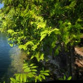 Review photo of Clinton Lake State Recreation Area by Melissa B., August 2, 2018