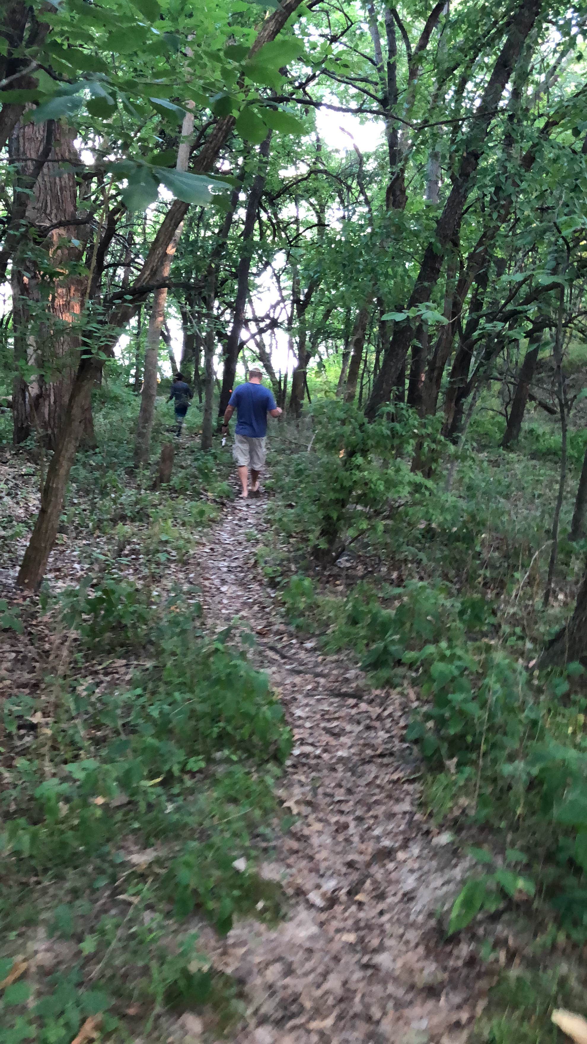 Camper submitted image from Clinton Lake State Recreation Area - 3