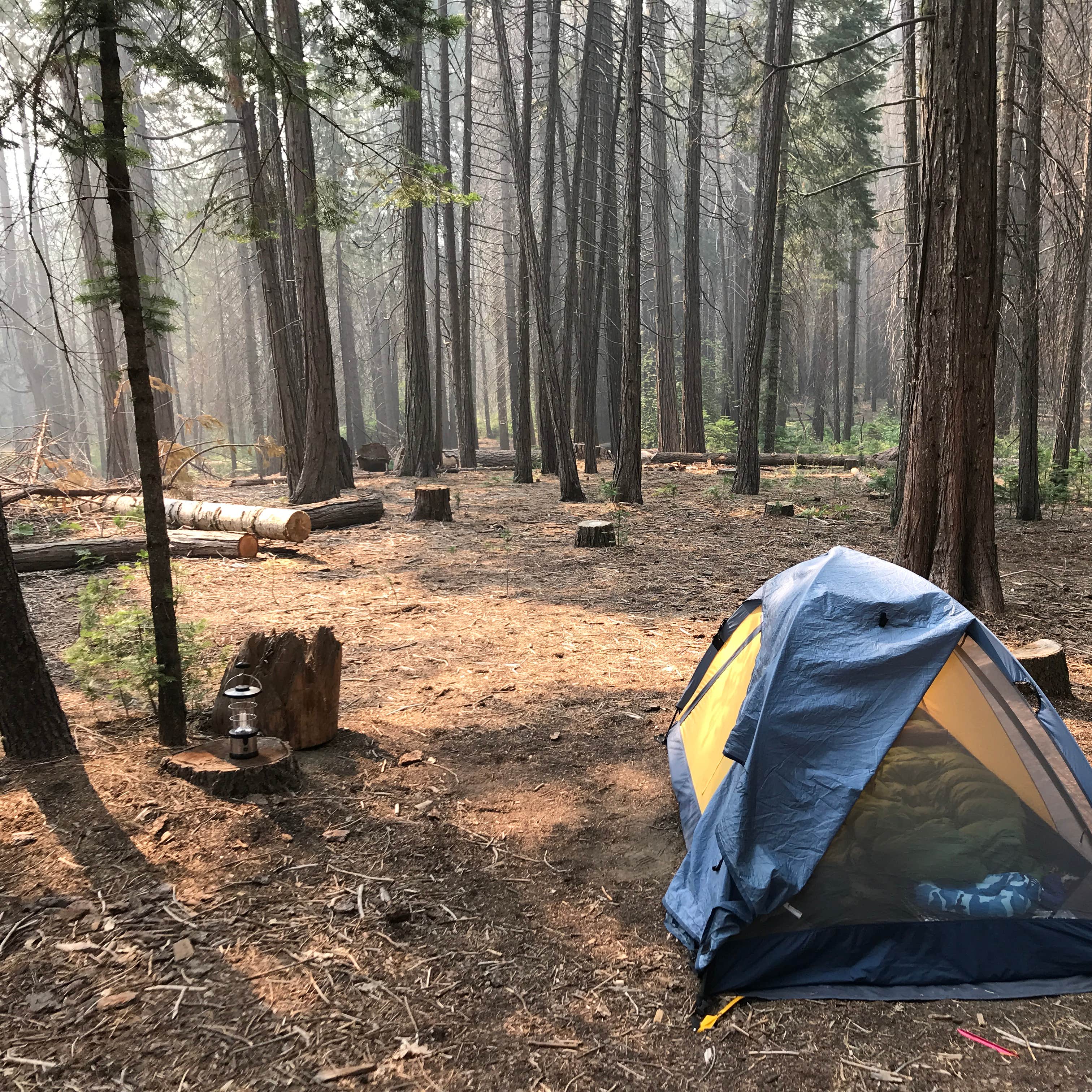 Hodgdon Meadow Campground — Yosemite National Park